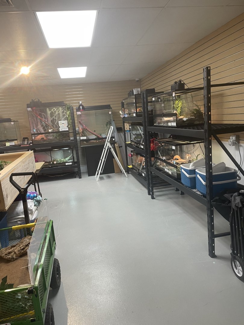 Part of NEW Ambassador Room (6/11/23)