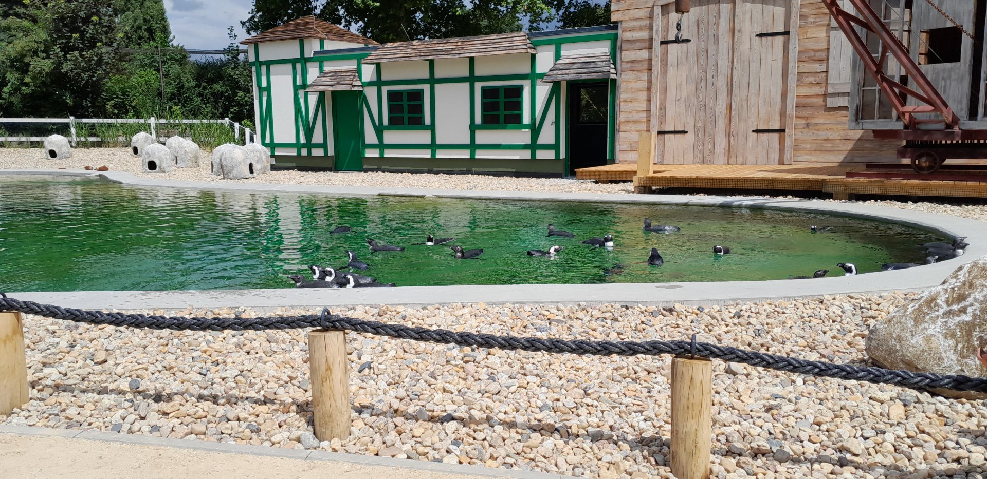 Part of new penguin enclosure