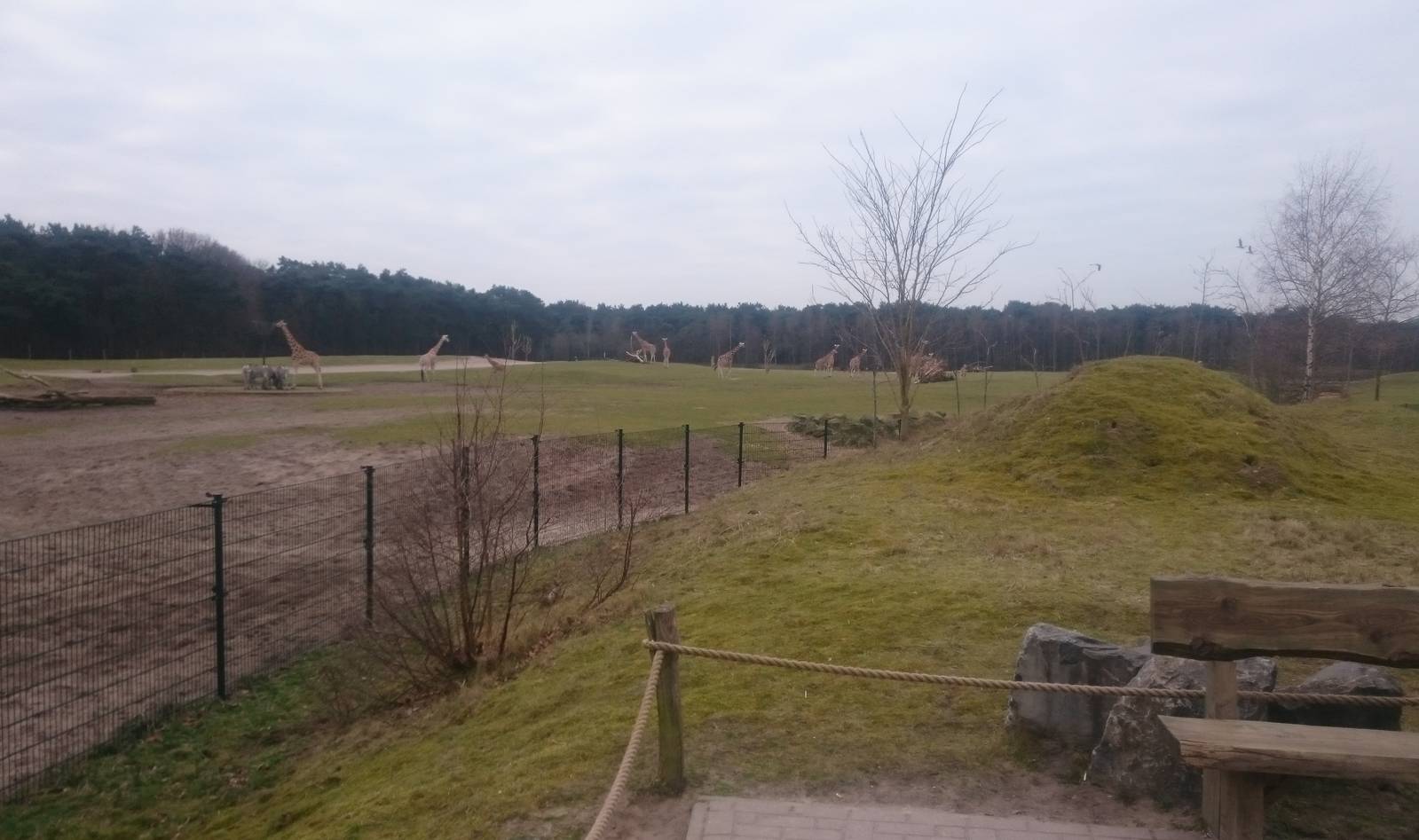 Part of one of the Africa enclosures