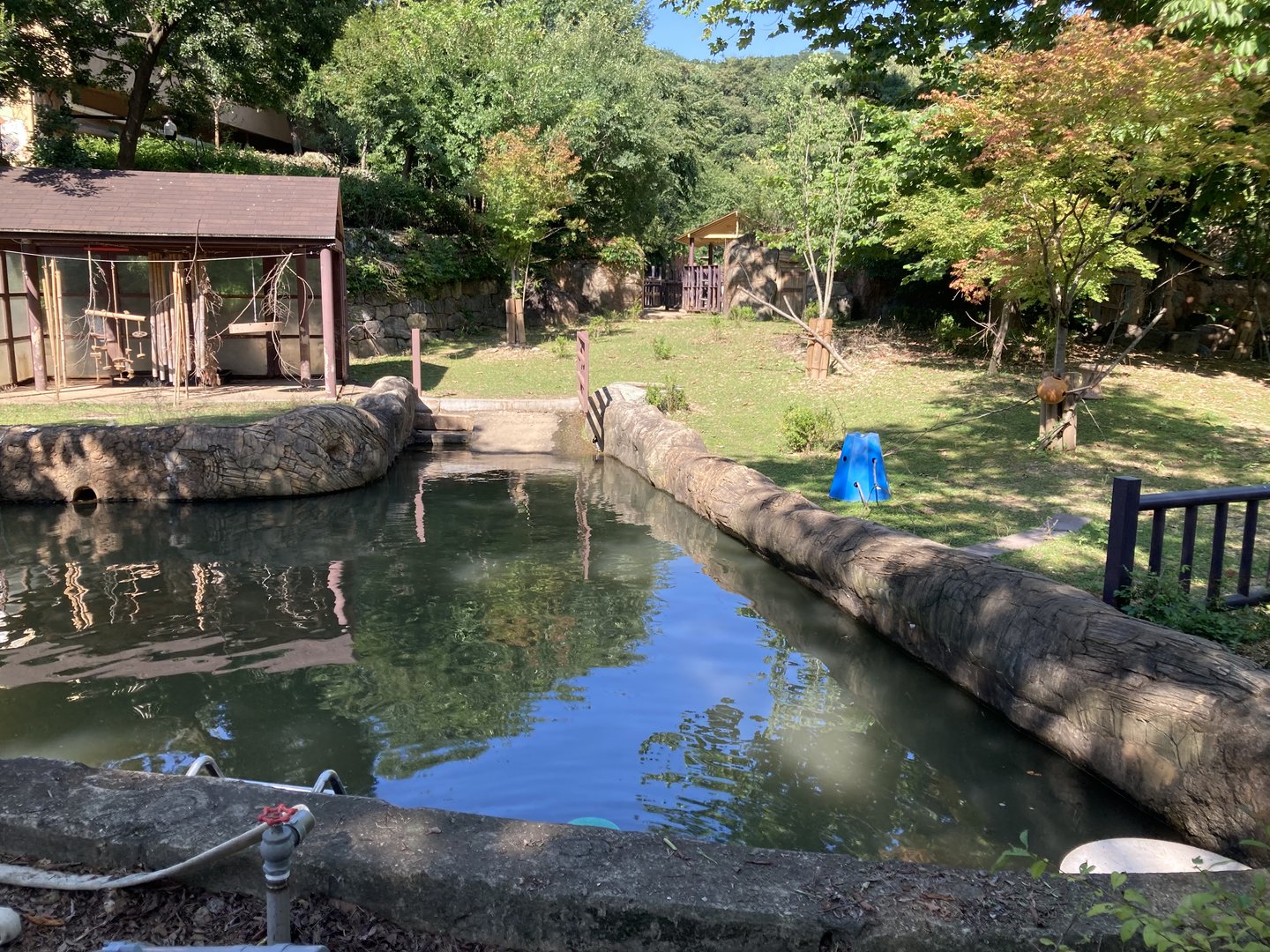 Part of one of the Pygmy hippo areas