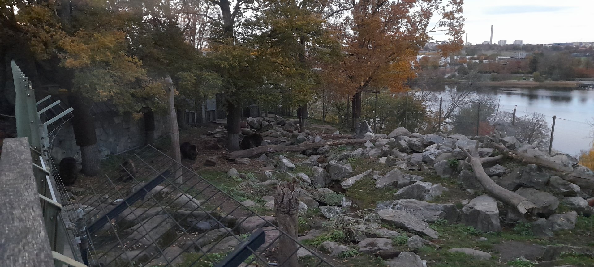 Part of one of the two  Brown bear enclosures