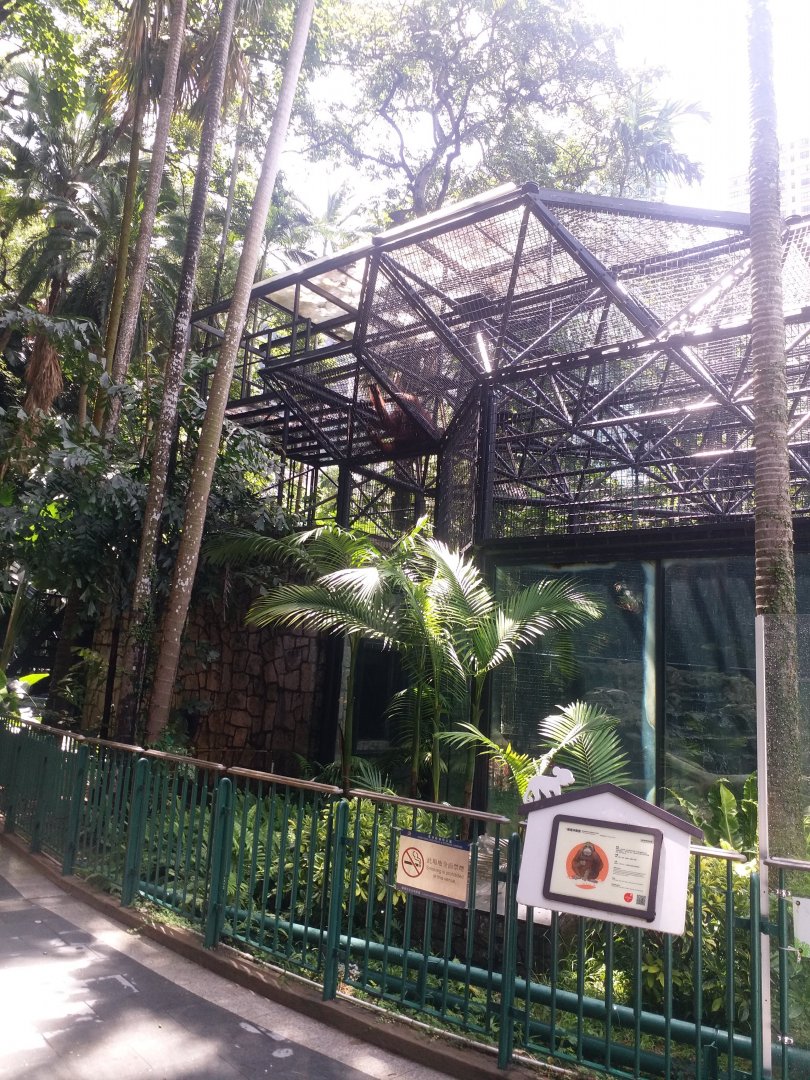 Part of orangutan exhibit