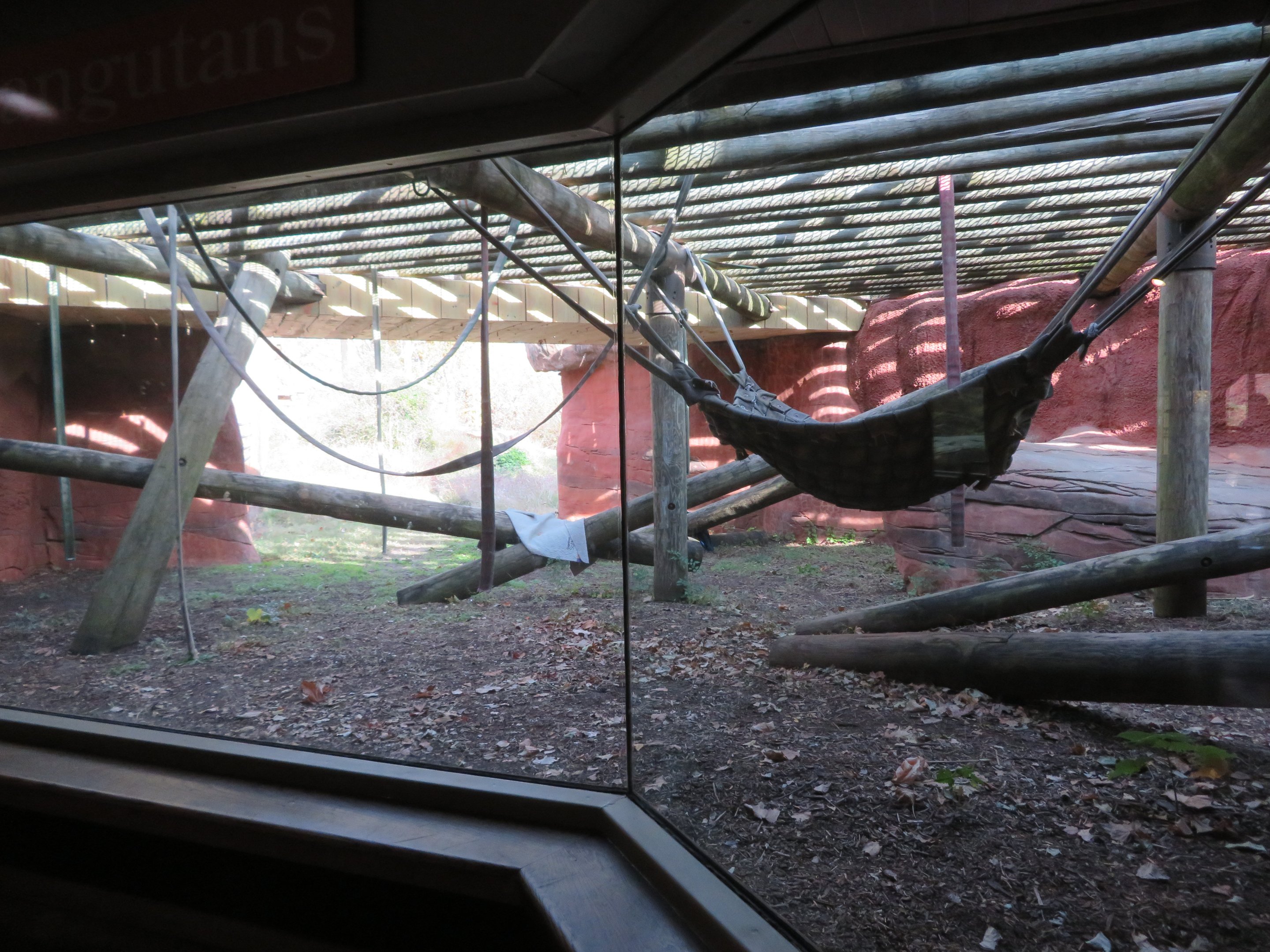 Part of Orangutan Exhibit