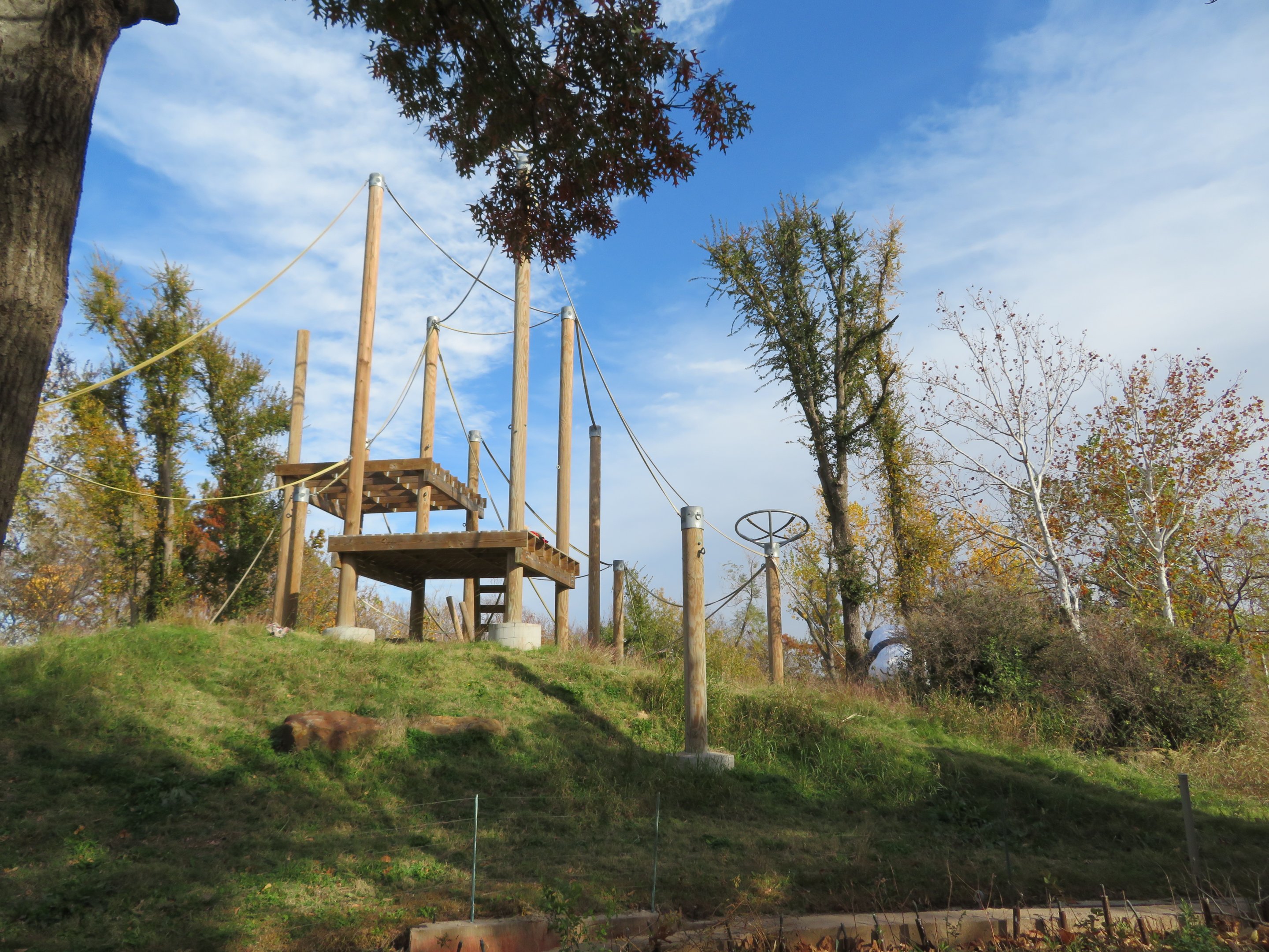 Part of Orangutan Exhibit