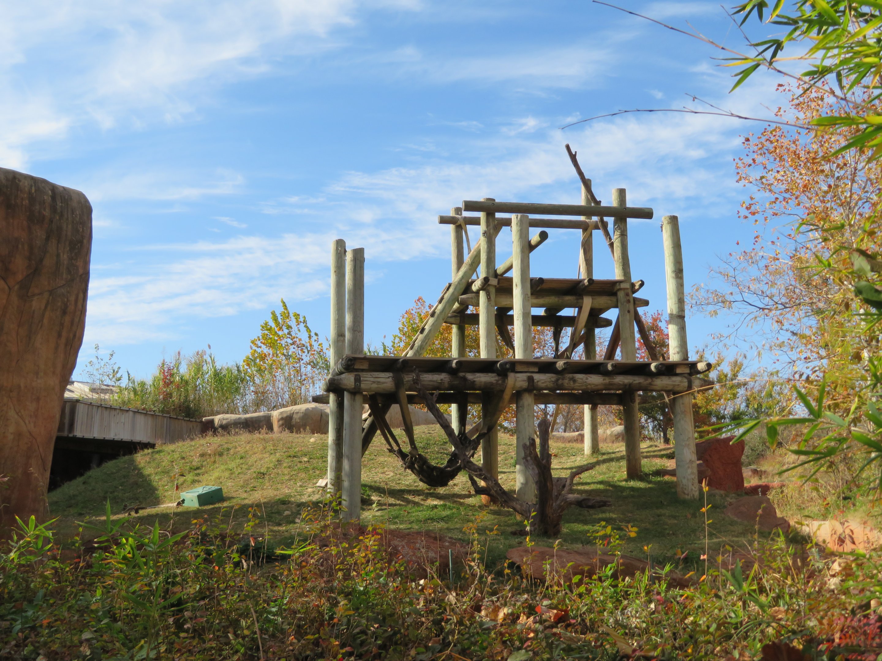 Part of Orangutan Exhibit