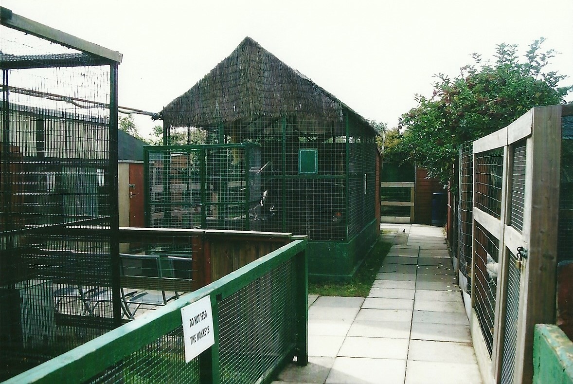 Part of outdoor area, 13th September 2013