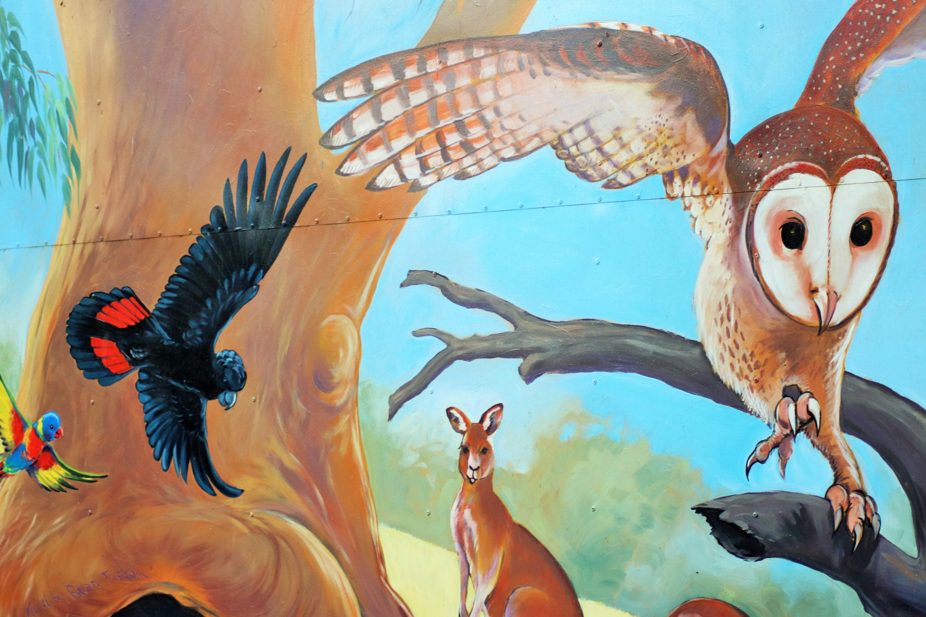 Part of Owl Aviary Mural