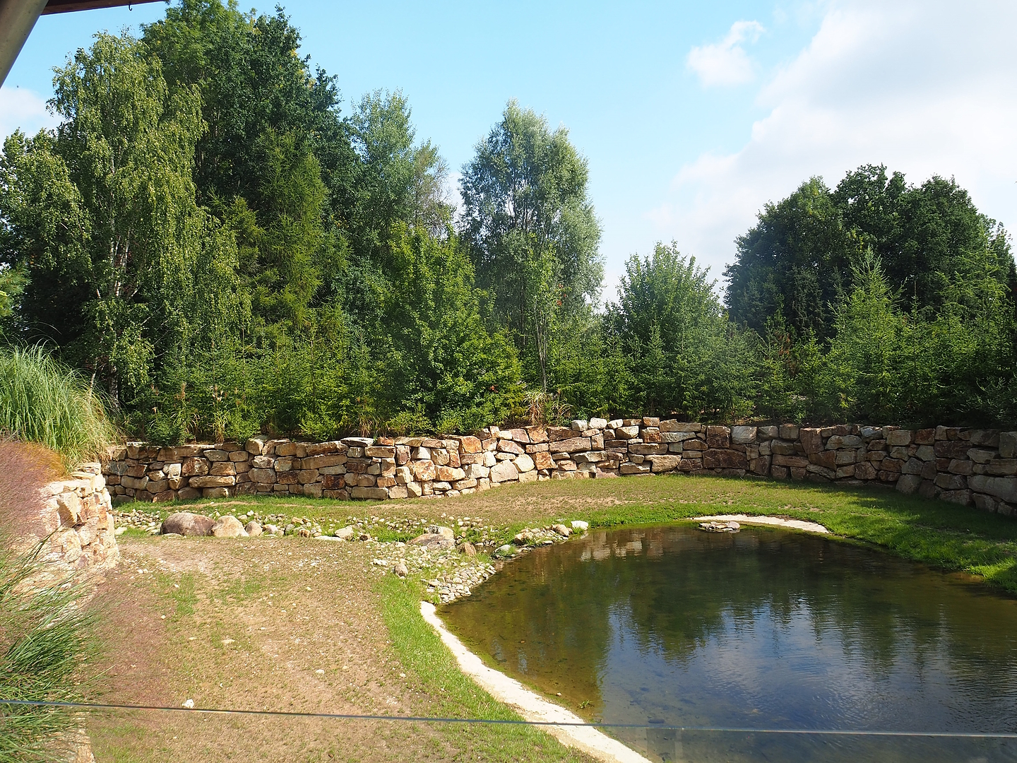 Part of Pampas exhibit with Vicuña, Darwin's rhea and Lowland tapir, 2022-08-20