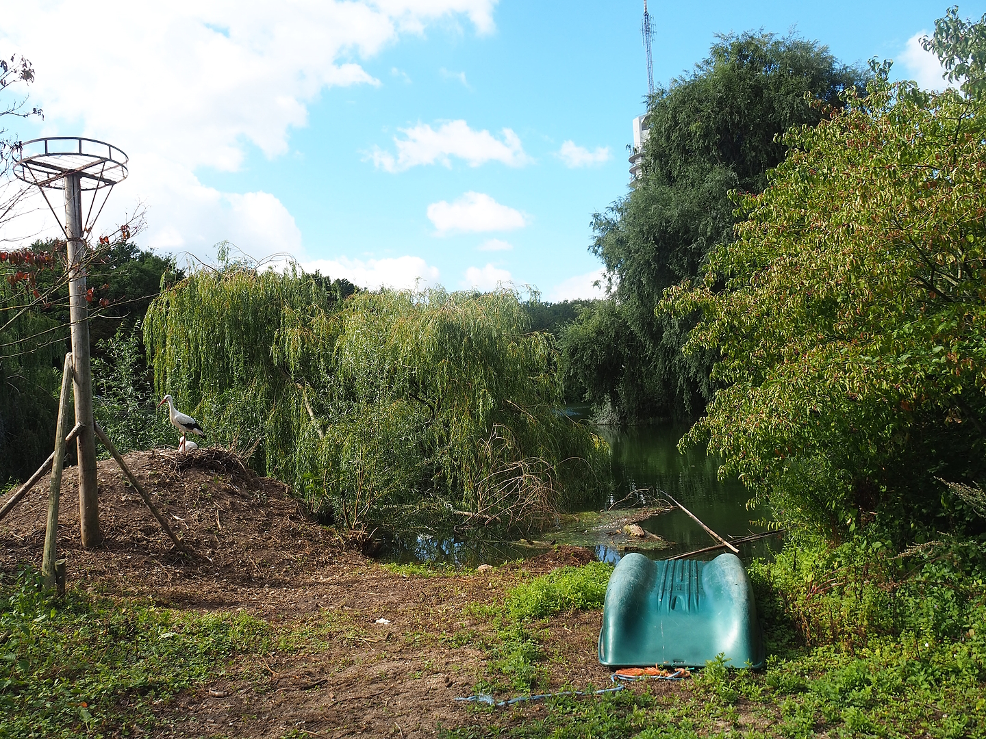 Part of pelican lake and lakeside with European white stork nest, 2022-08-28