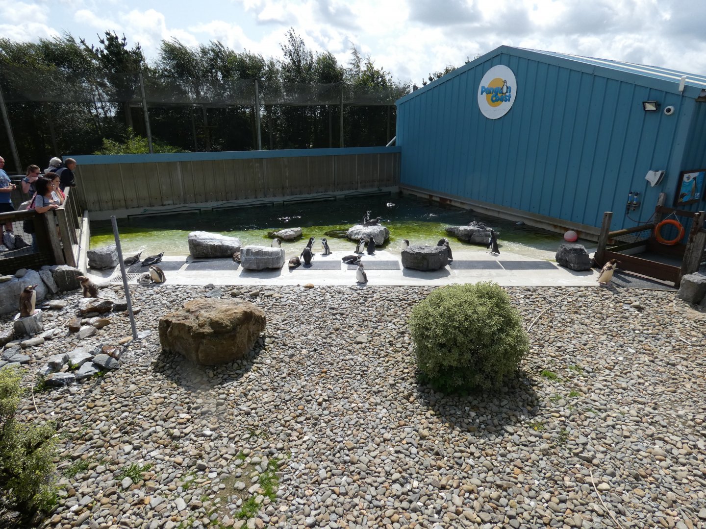 Part of Penguin enclosure
