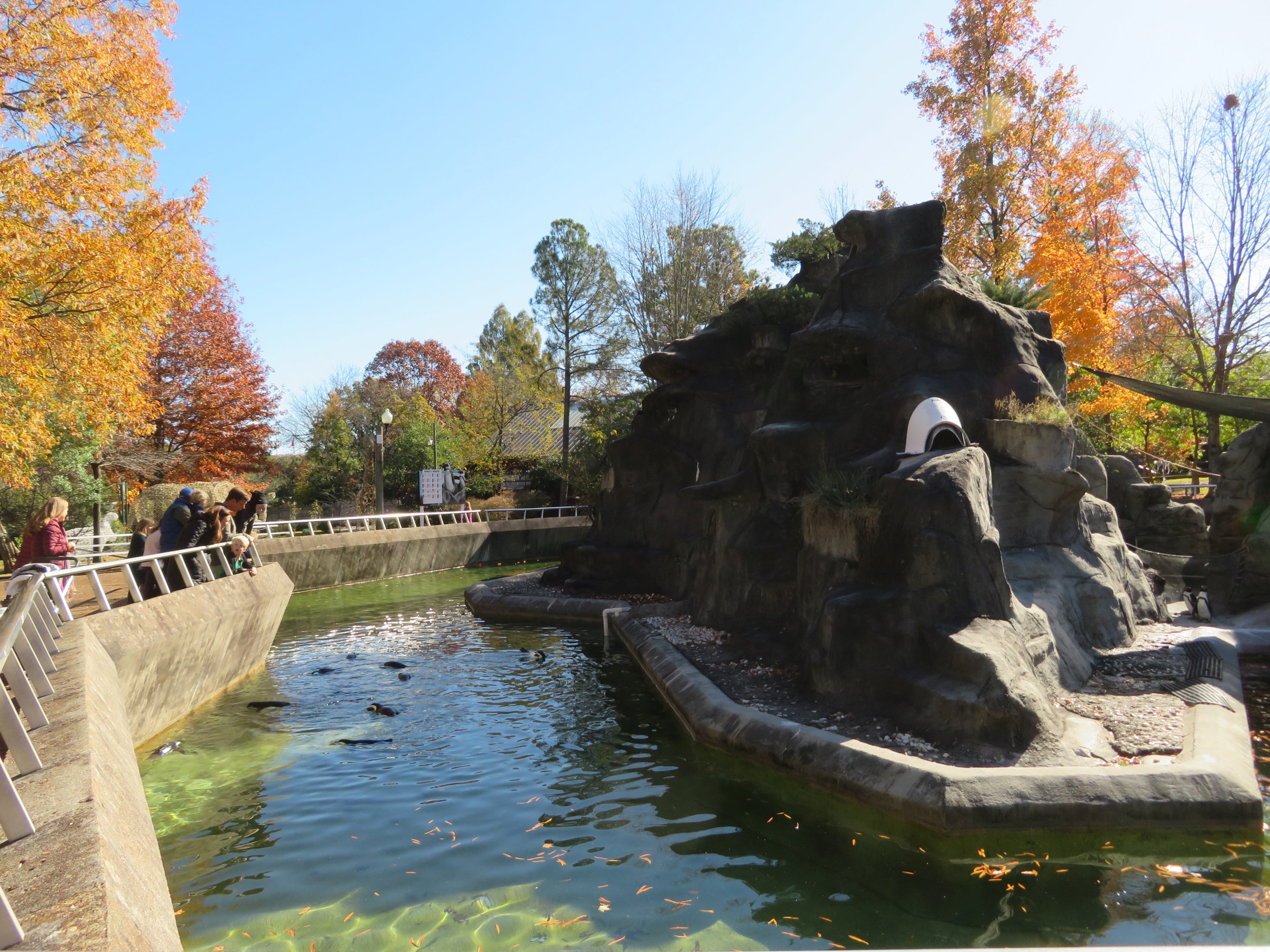 Part of Penguin Rock