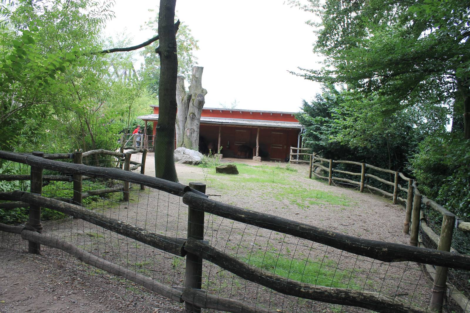 Part of petting zoo