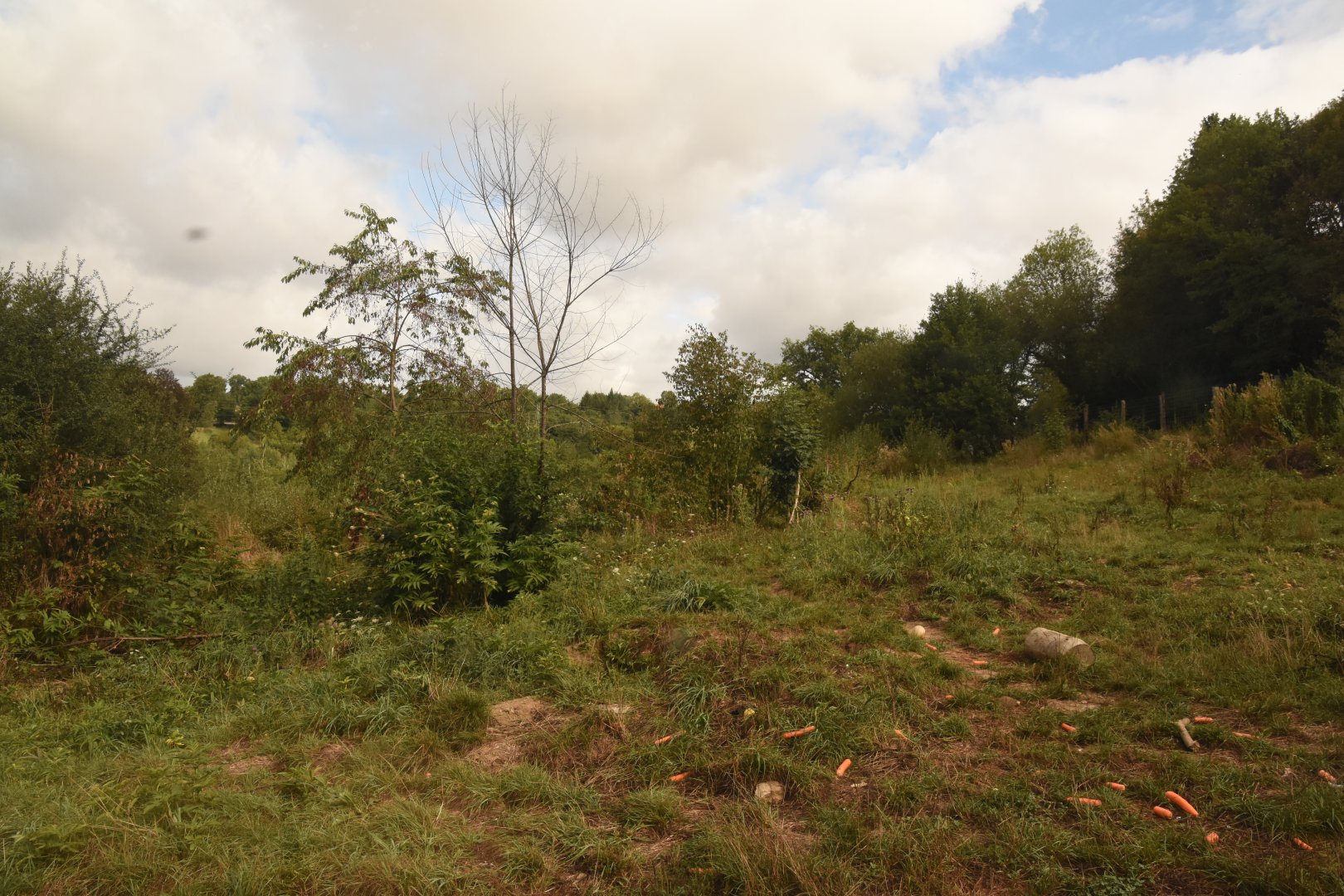 Part of polar bear enclosure