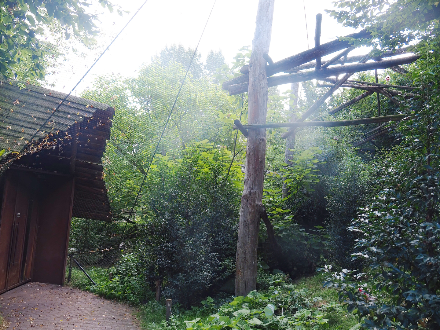 Part of Puna South American aviary with access doors, 2022-08-20