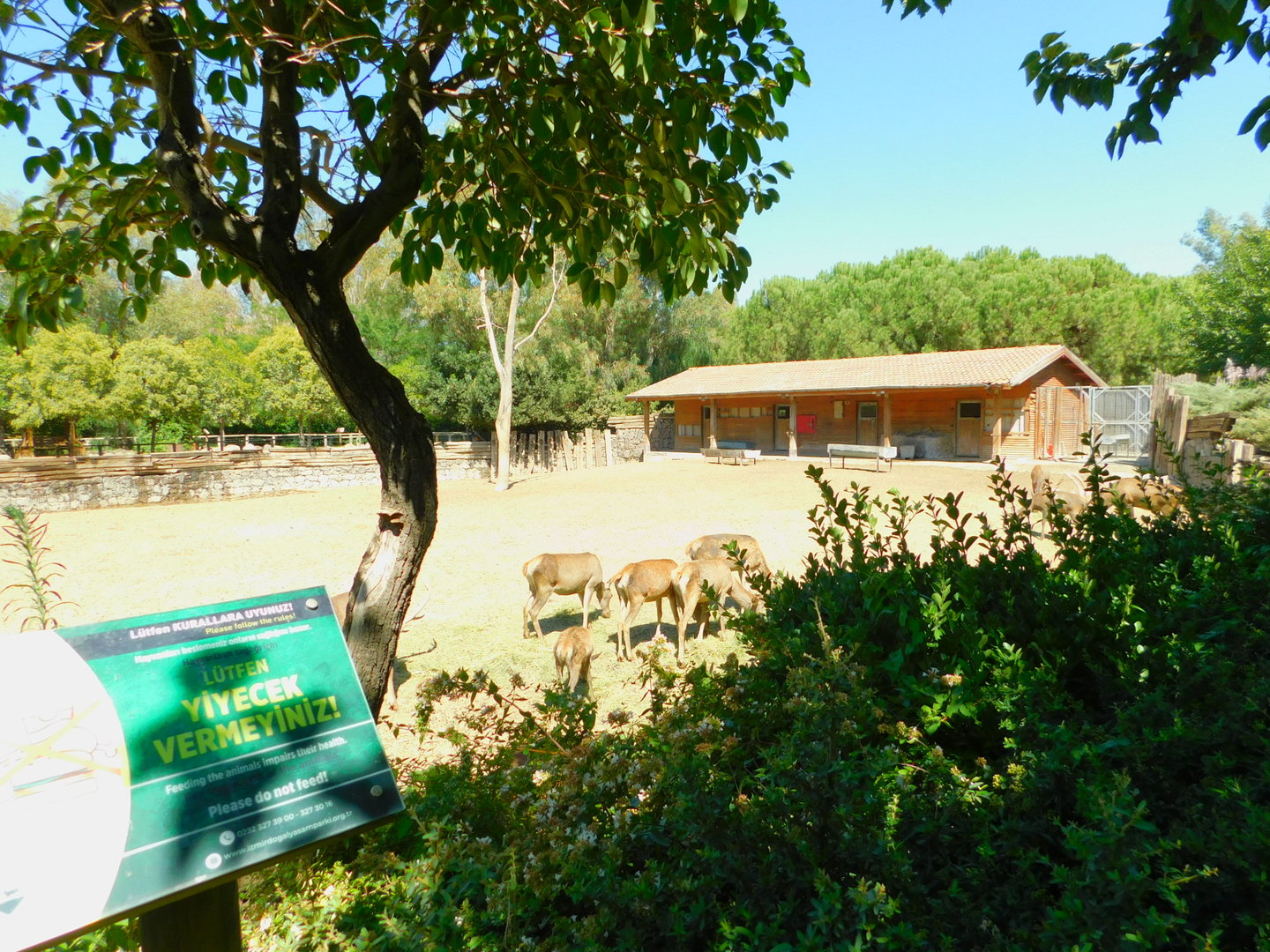 Part of red deer enclosure