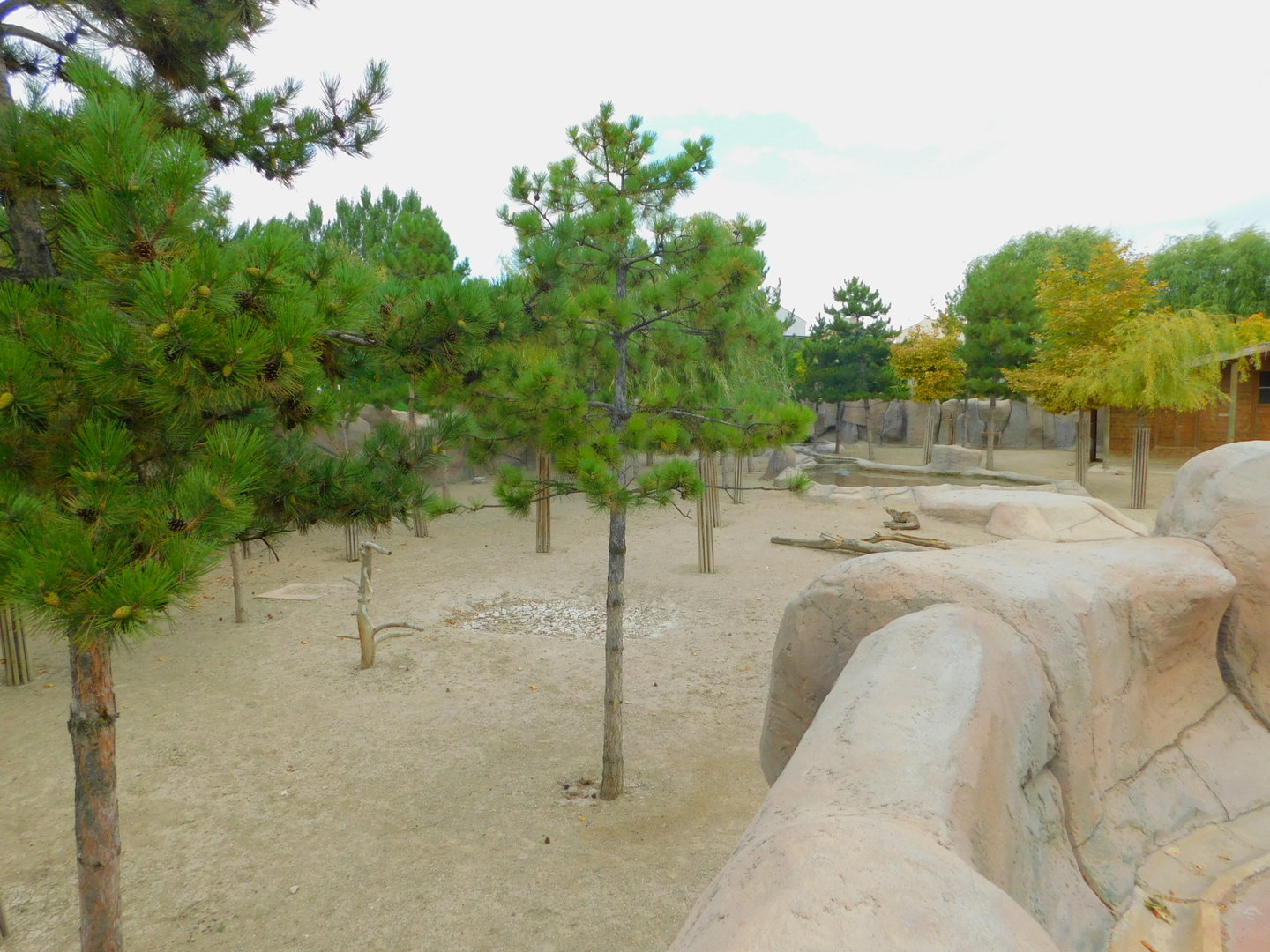 Part of Red Deer Enclosure