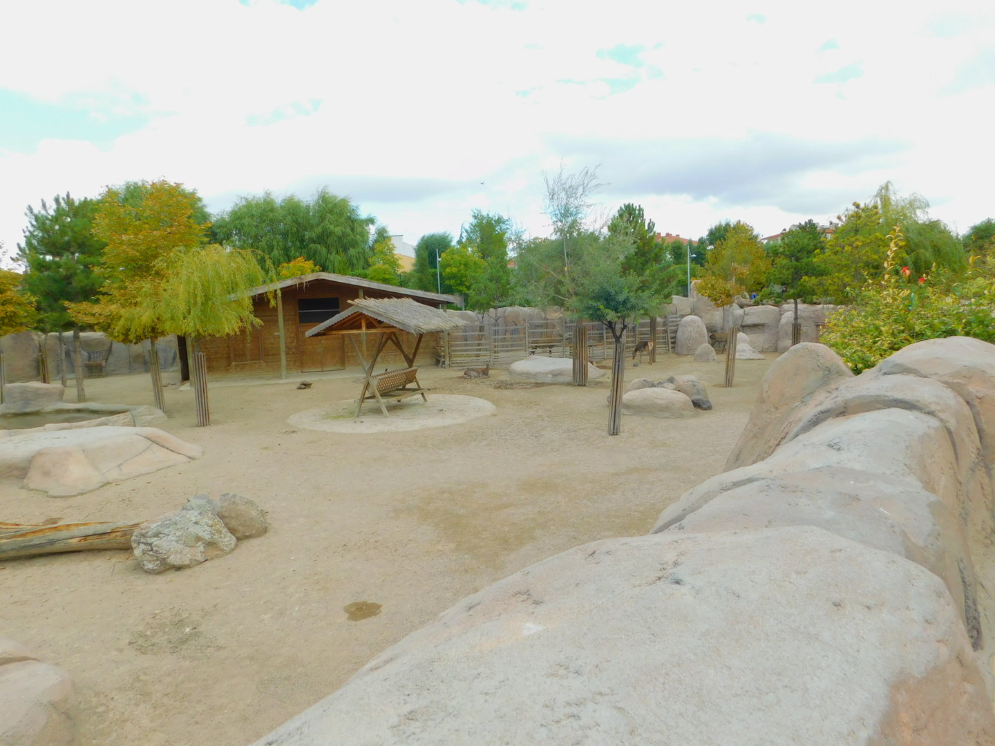 Part of Red Deer Enclosure