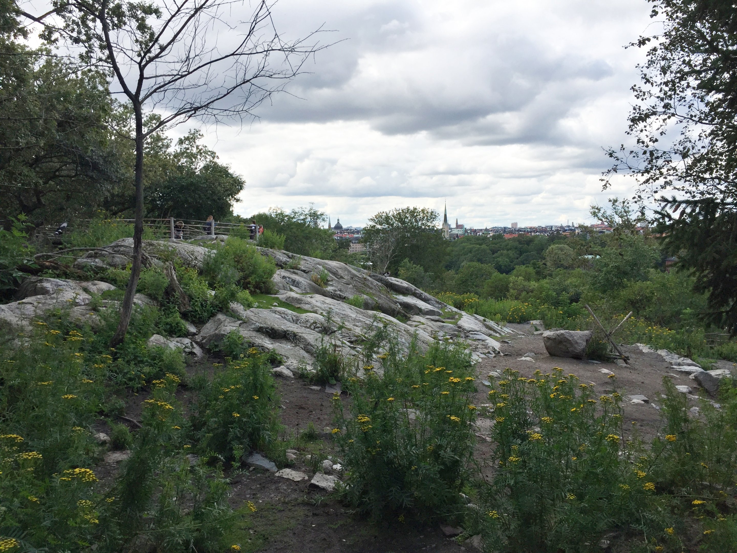 Part of Reindeer enclosure