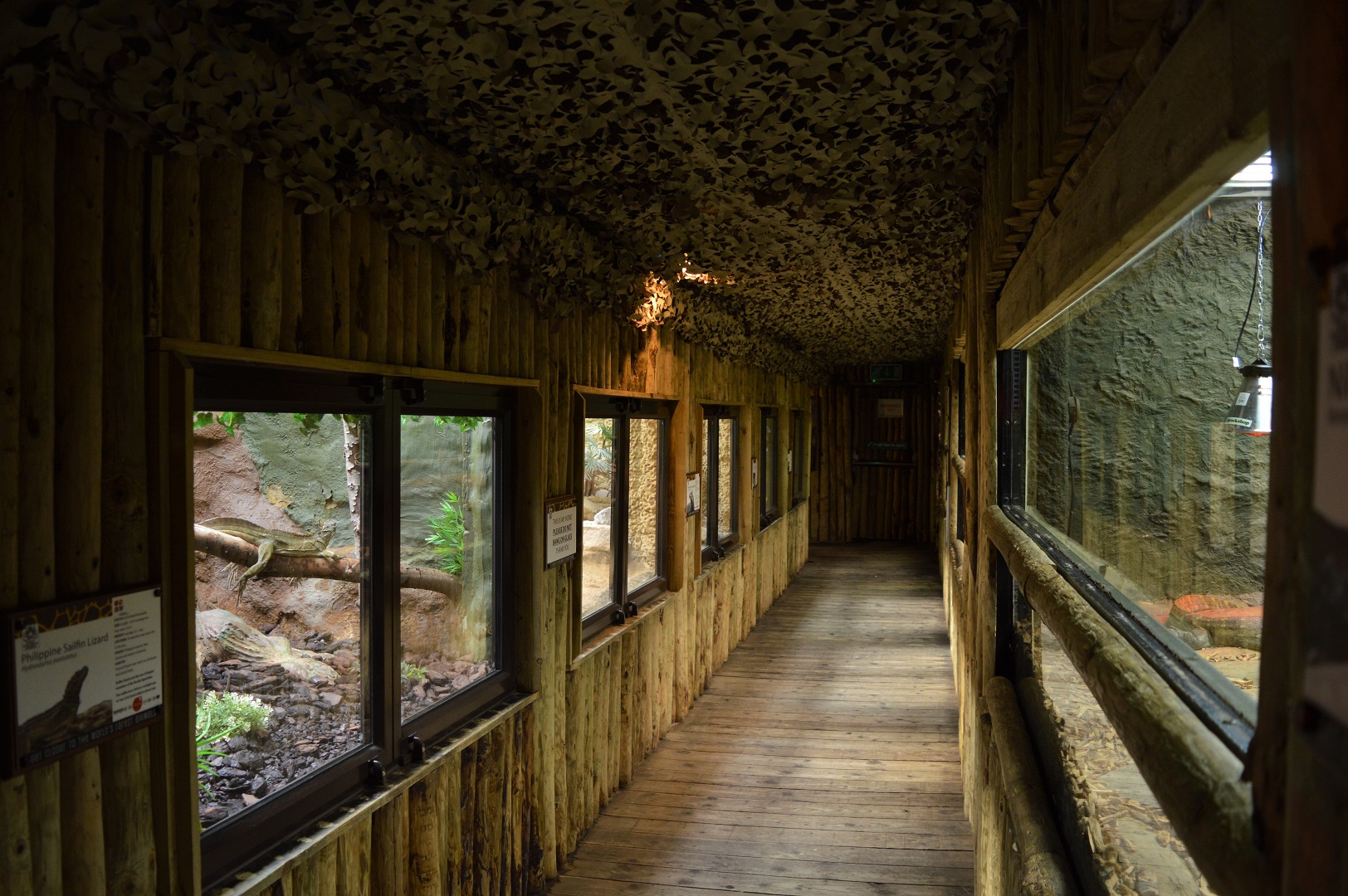 Part of reptile house interior