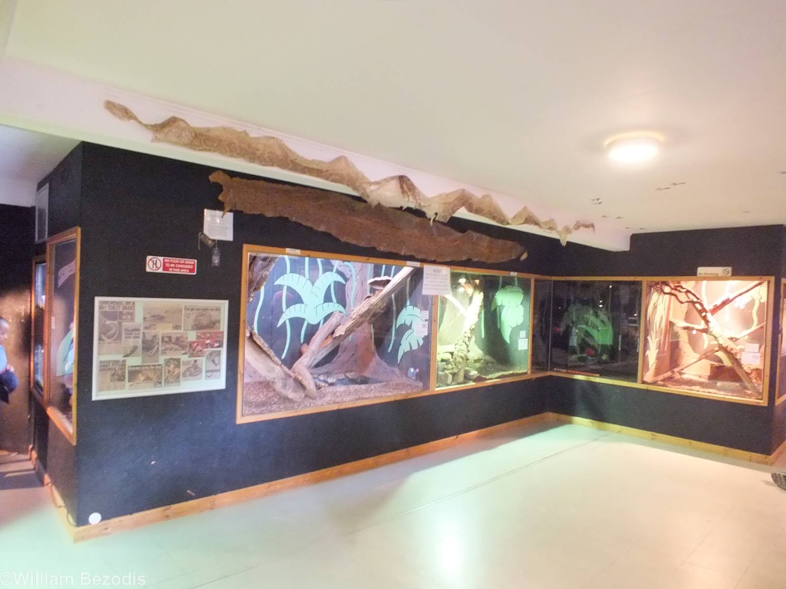 Part of Reptile House