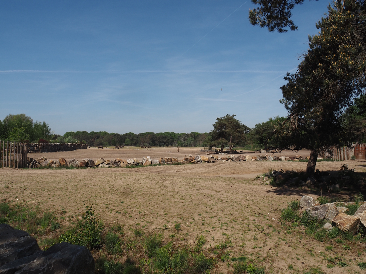 Part of rhinoceros plains and Southern white rhinoceros separation paddock, 2025-04-30
