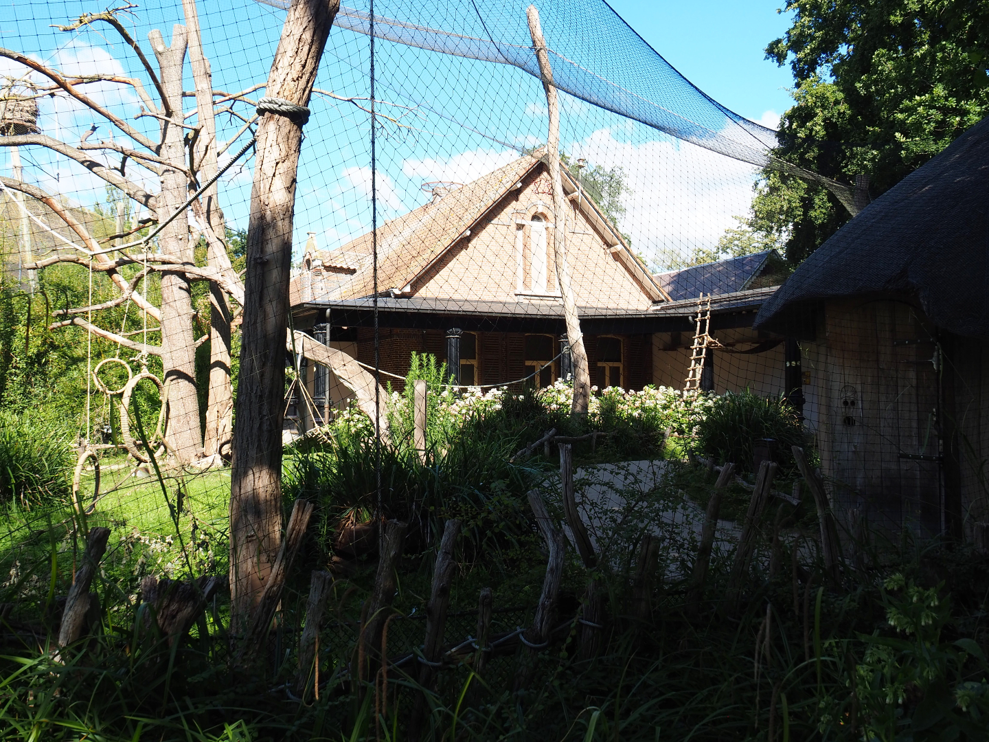 Part of Ring-tailed lemur and Black lemur walk-through exhibit, 2020-07-21