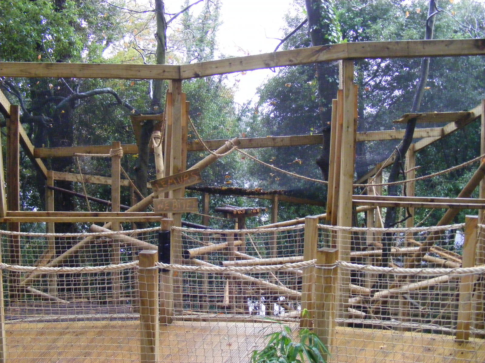 Part of ring-tailed lemur outdoor enclosure at Shaldon Zoo, 28 December 201