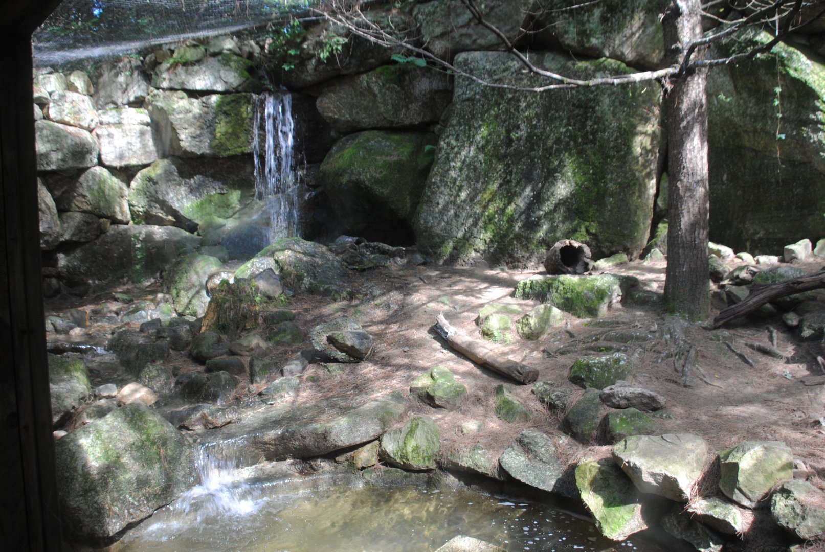 Part of River Otter exhibit