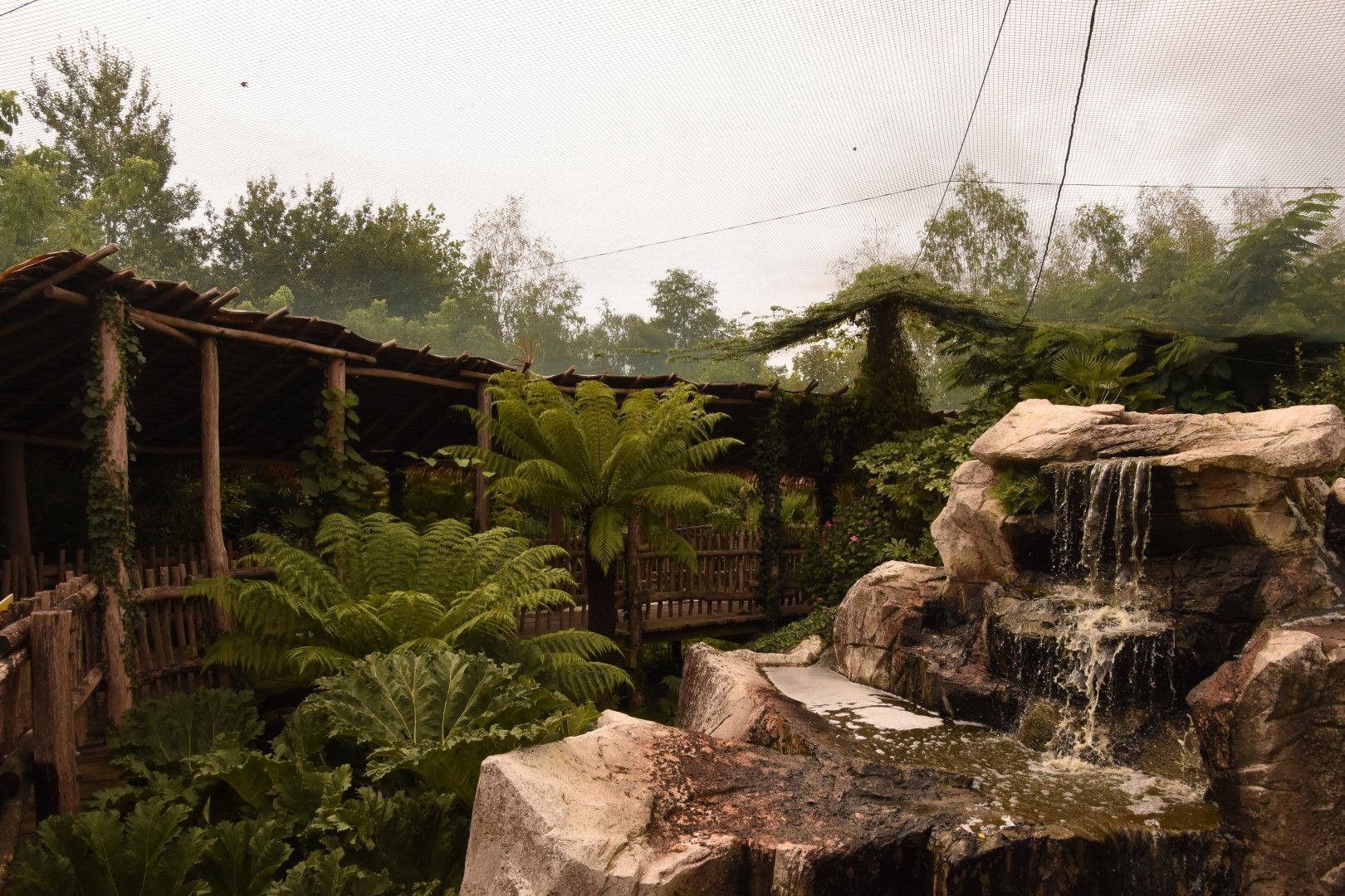 part of S-American walkthrough aviary