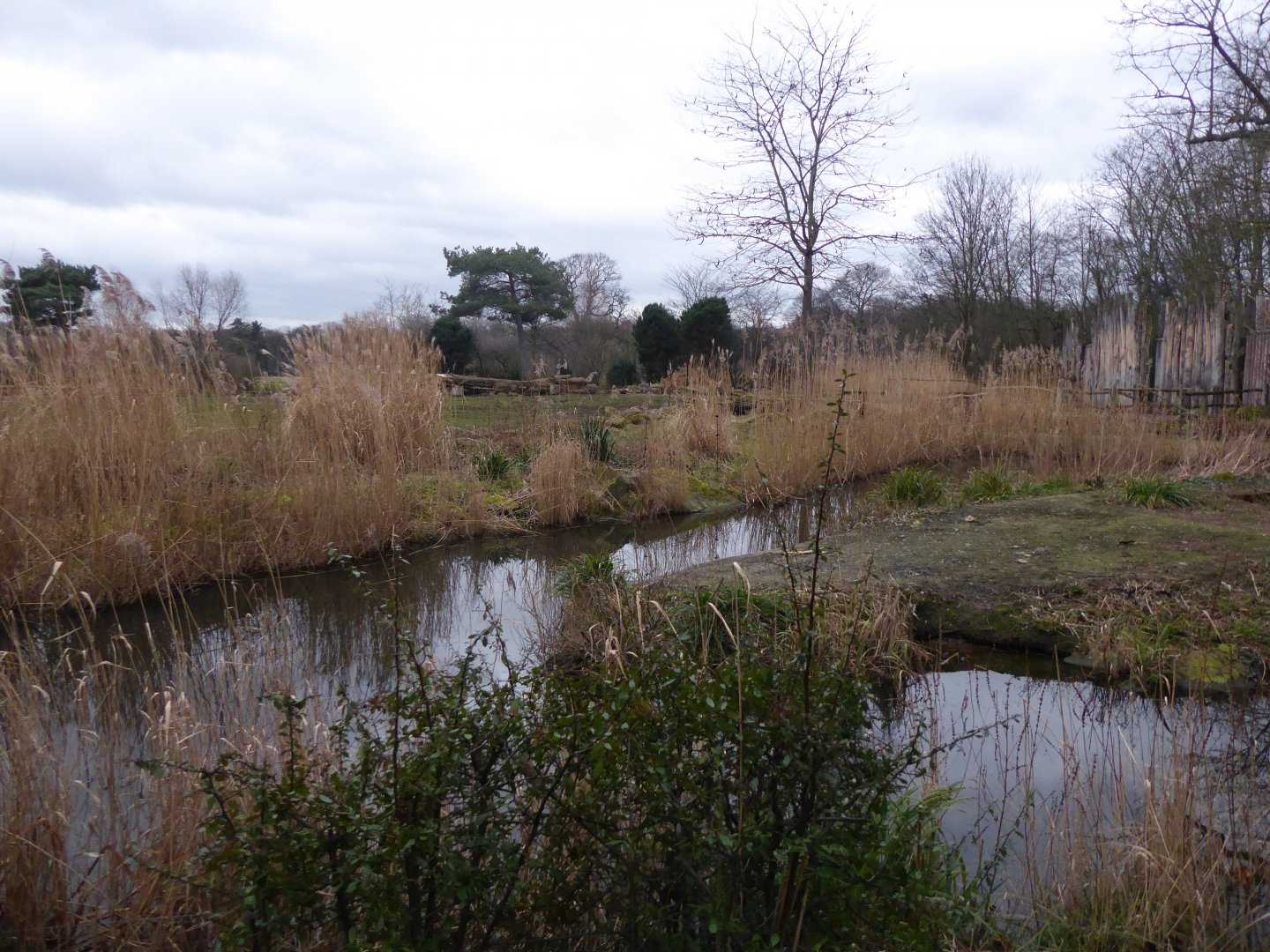 Part of Savannah Exhibit 280118