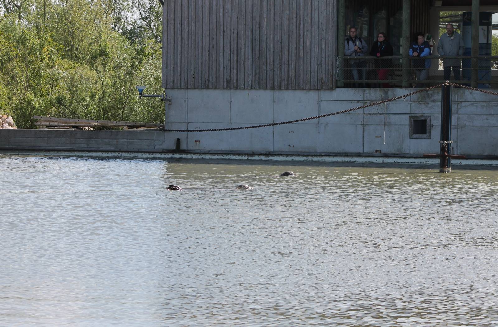 Part of seal enclosure