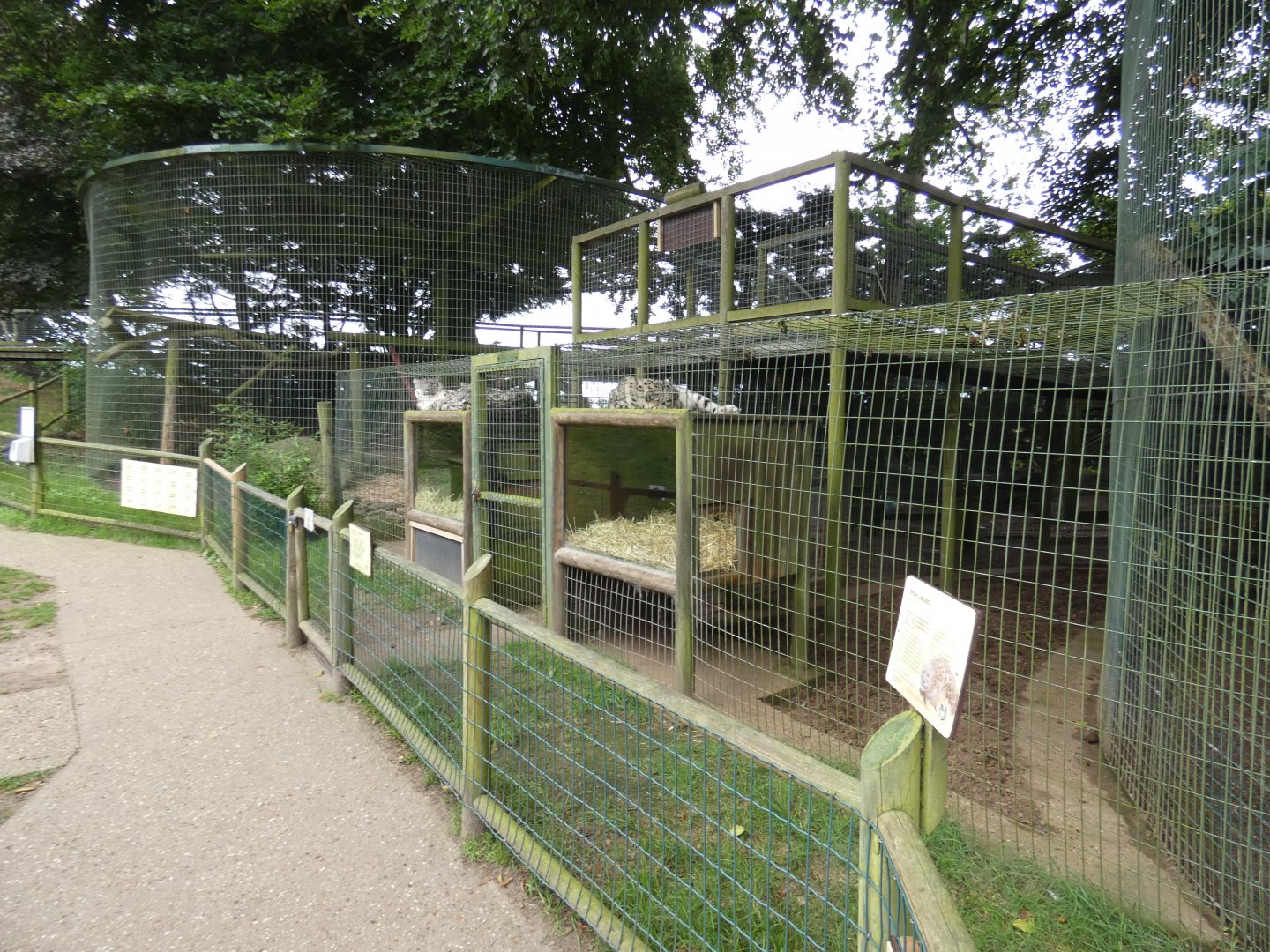 Part of Snow leopard enclosures