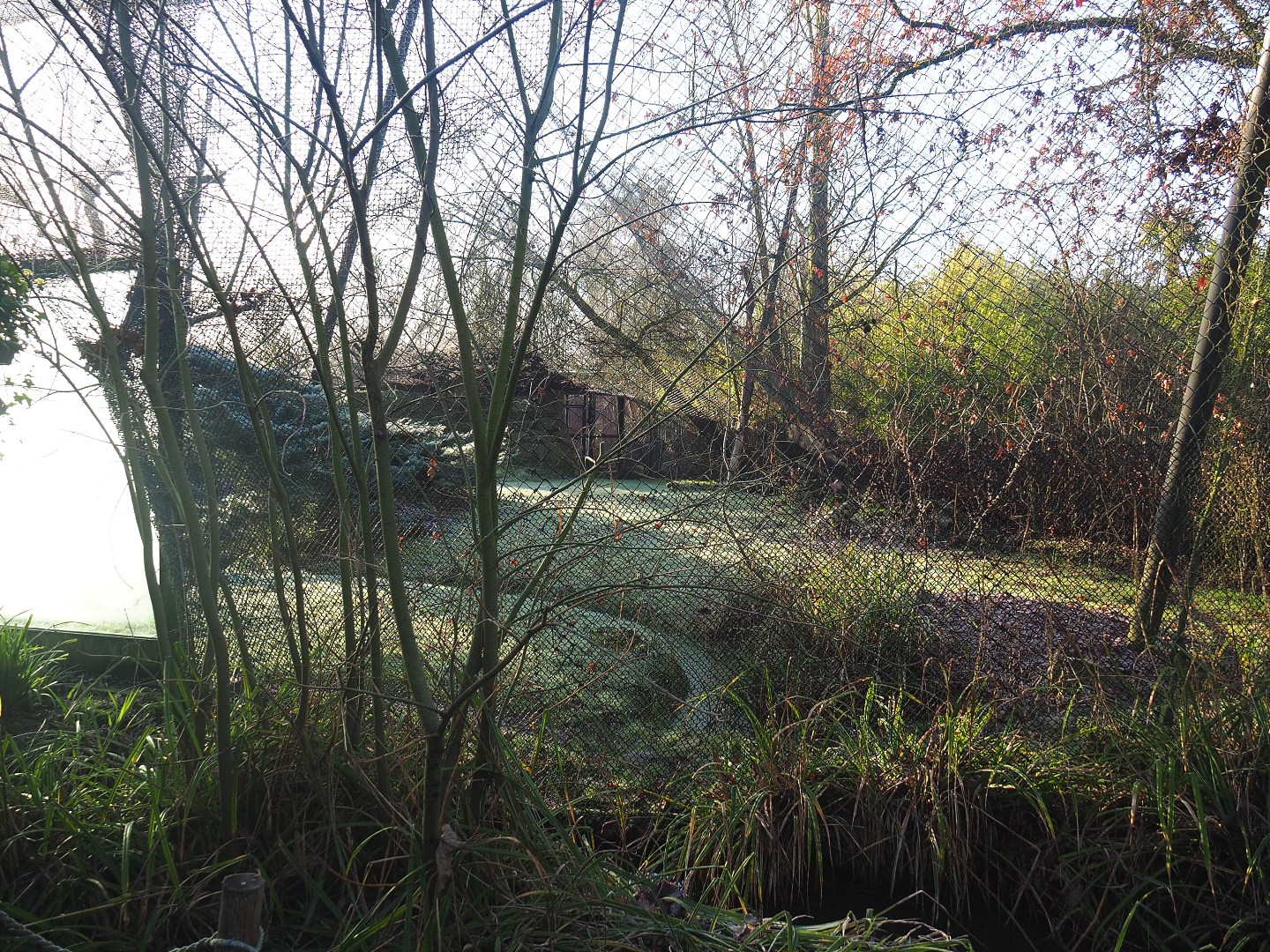 Part of snow leopard exhibit, 2022-02-12