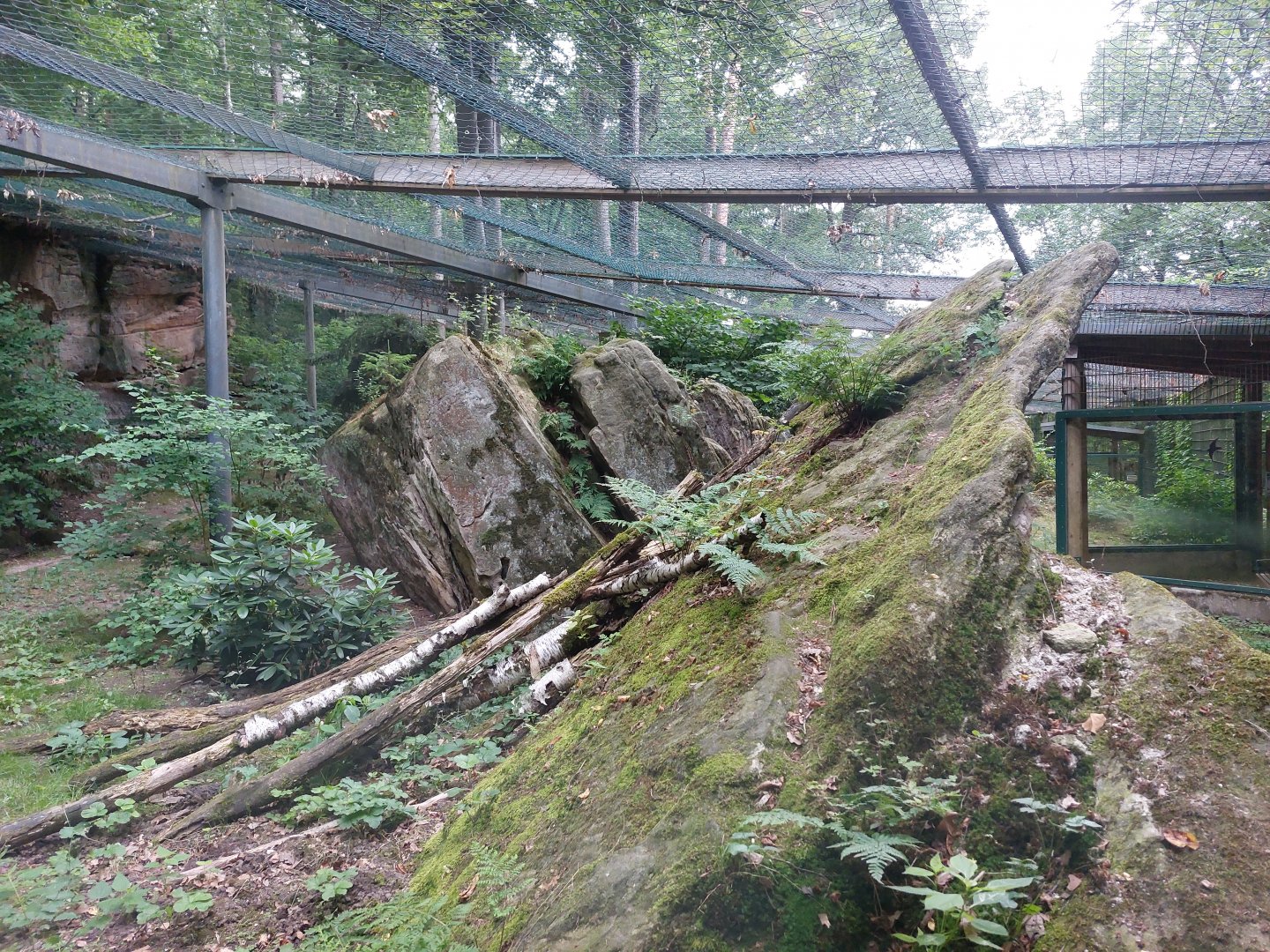 Part of snowleopard cage