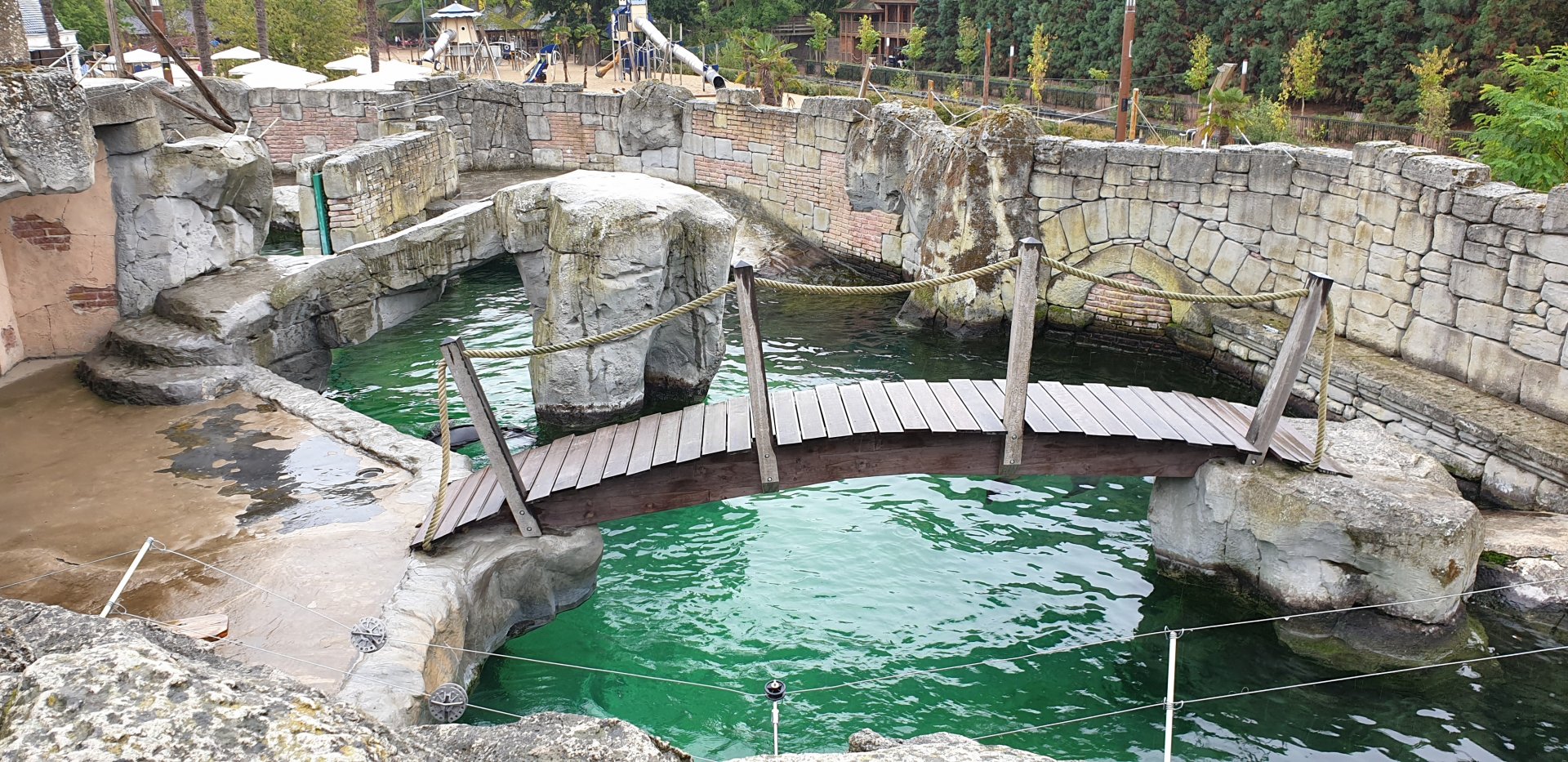 Part of South African fur seal enclosure
