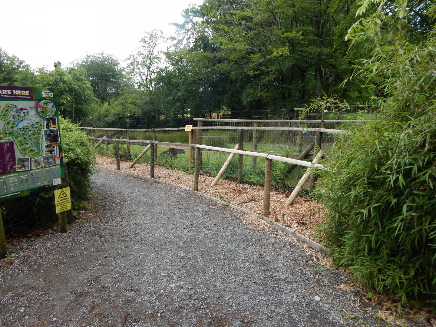 Part of South American tapir enclosure 050625