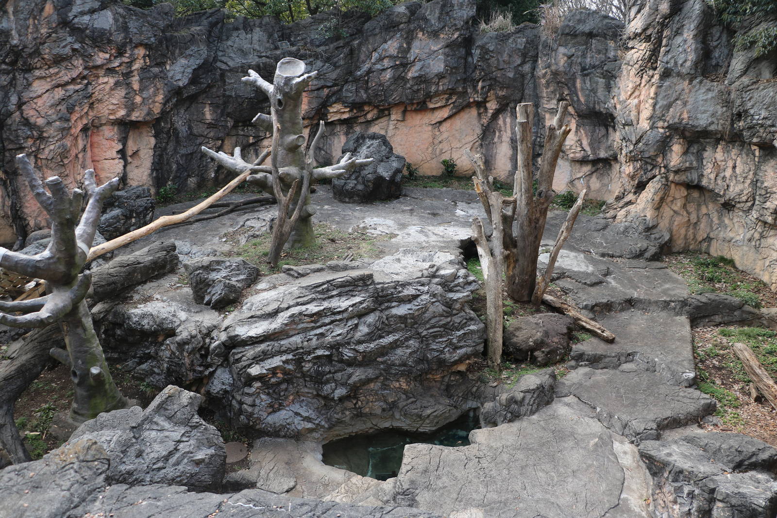 Part of spectacled bear enclosure, February 2016