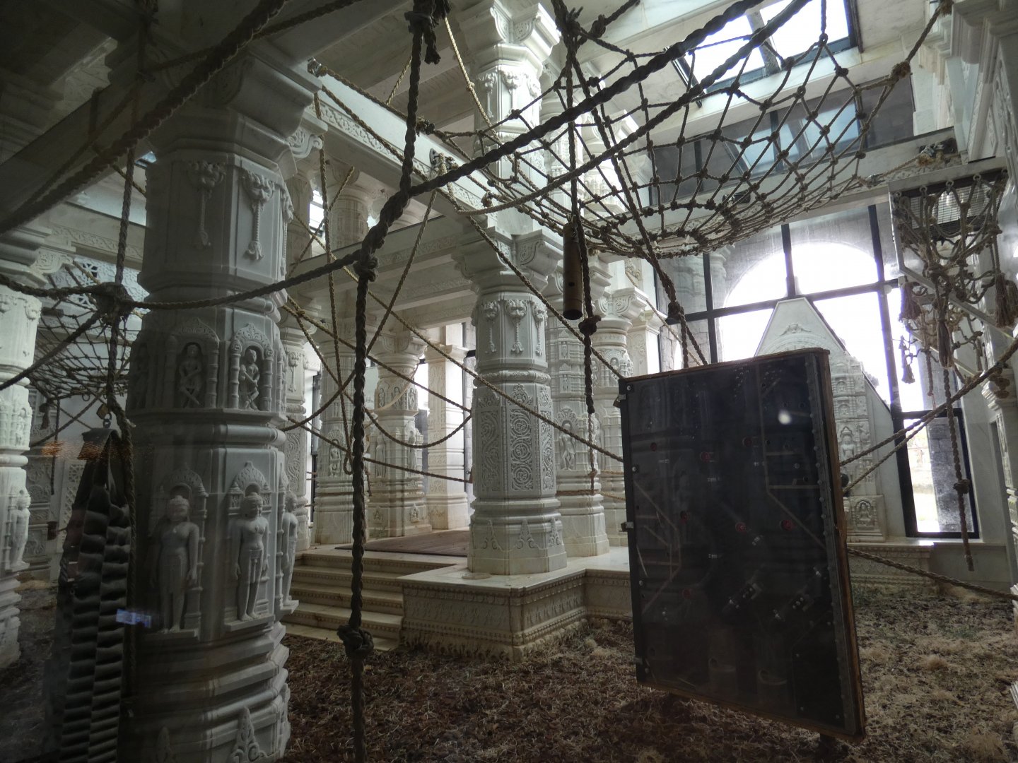 part of Sumatran Orang-utan indoor