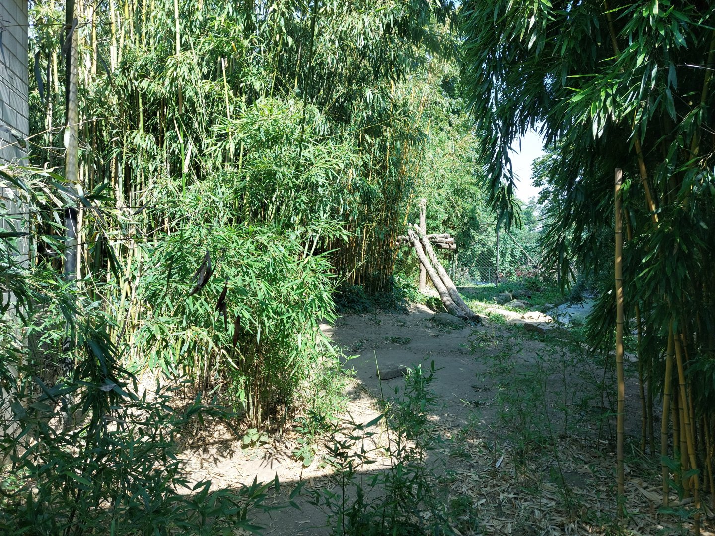 Part of Sumatran tiger enclosure