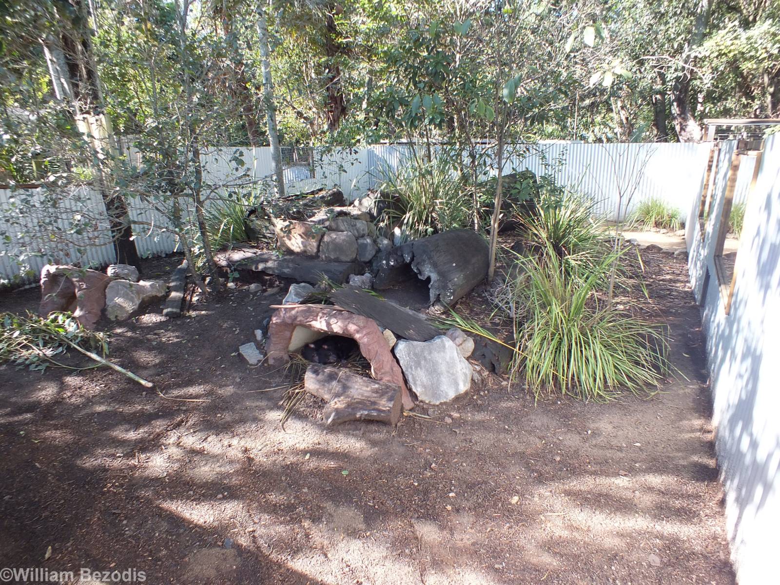 Part of Tasmanian Devil Enclosure