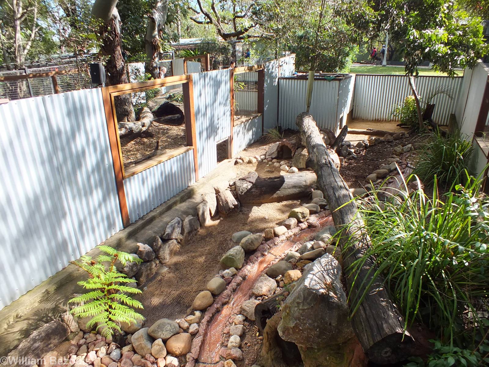 Part of Tasmanian Devil Enclosure