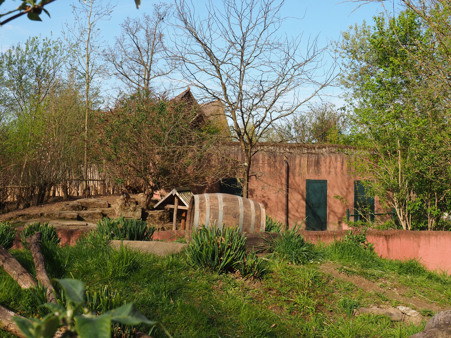 Part of Tasmanian devil exhibit and Kangaroo/Wallaby building, 2022-04-12