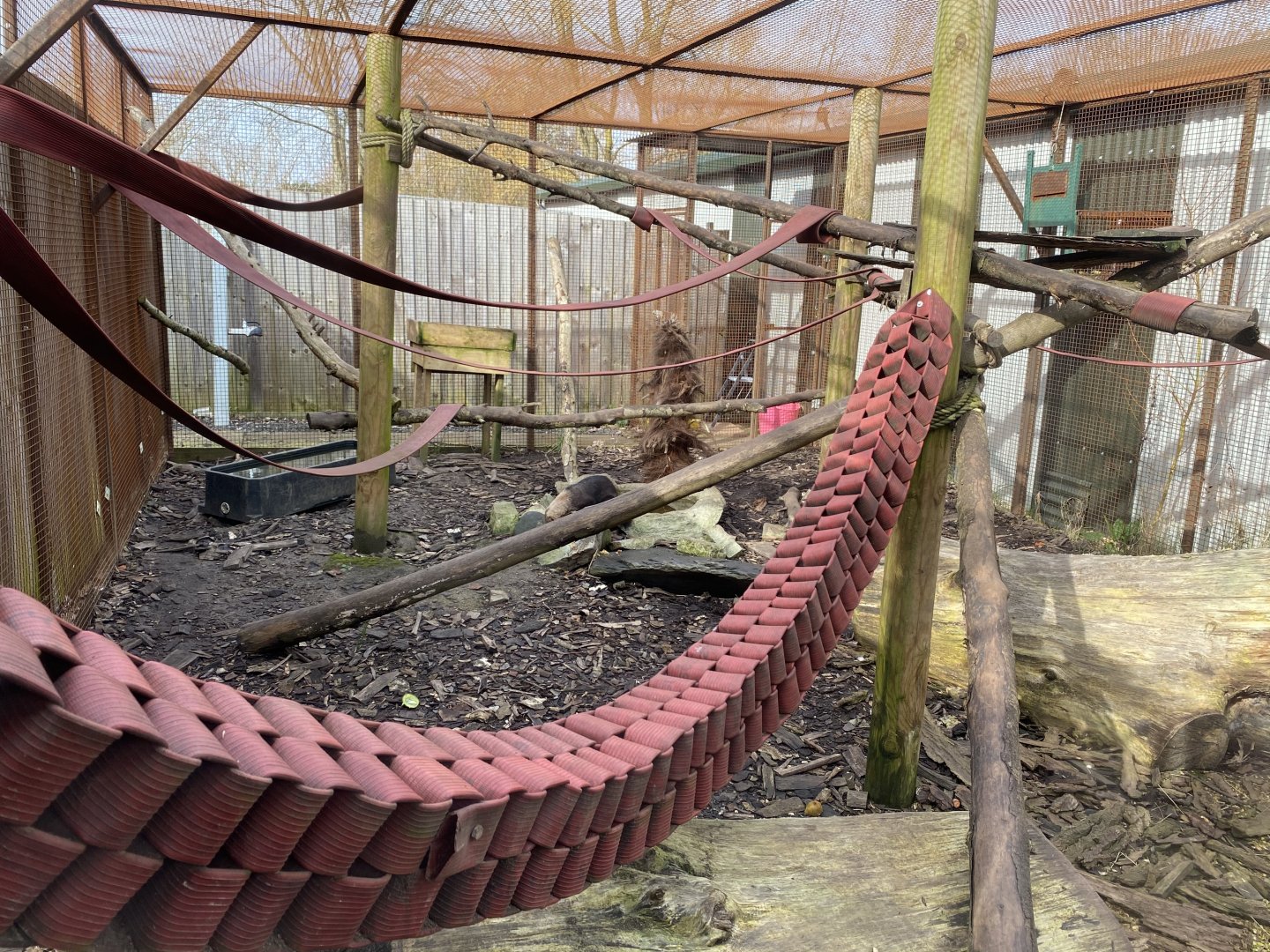 Part of Tayra exhibit 070320