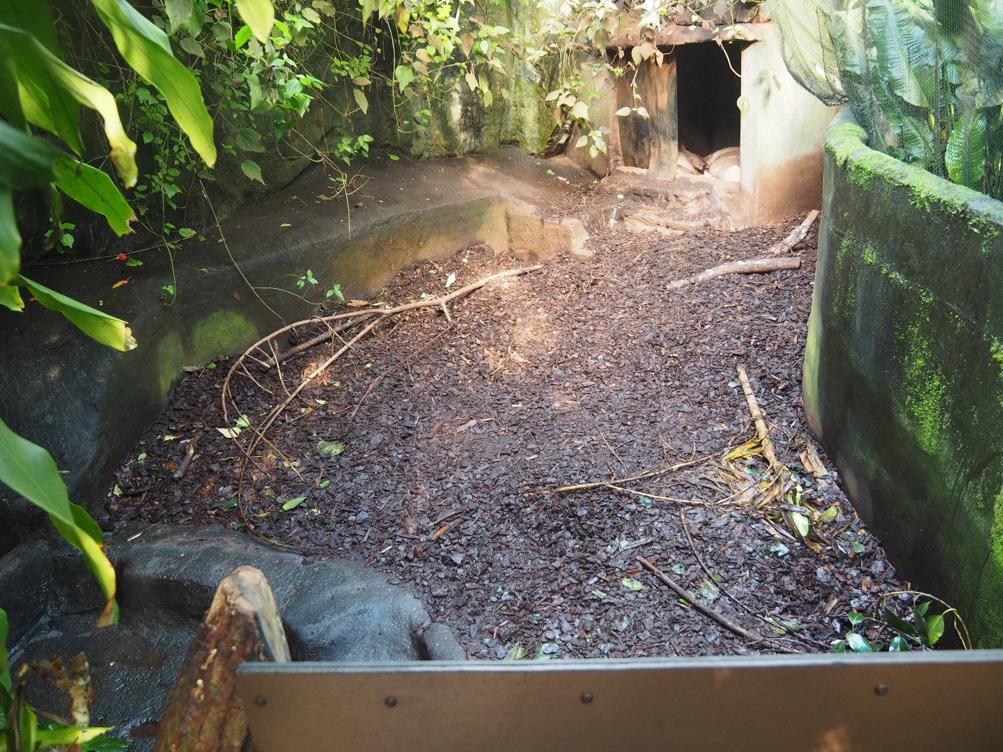 Part of the Aardvark Exhibit