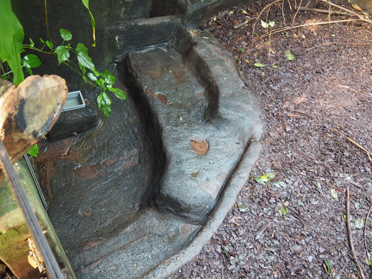 Part of the Aardvark Exhibit