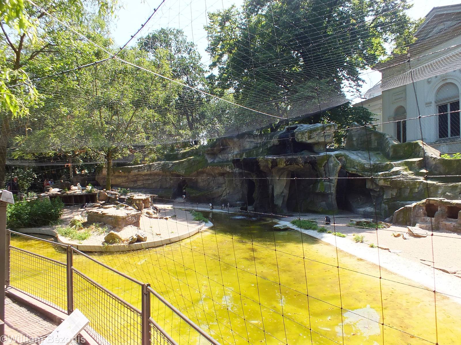 Part of the African Penguin Enclosure