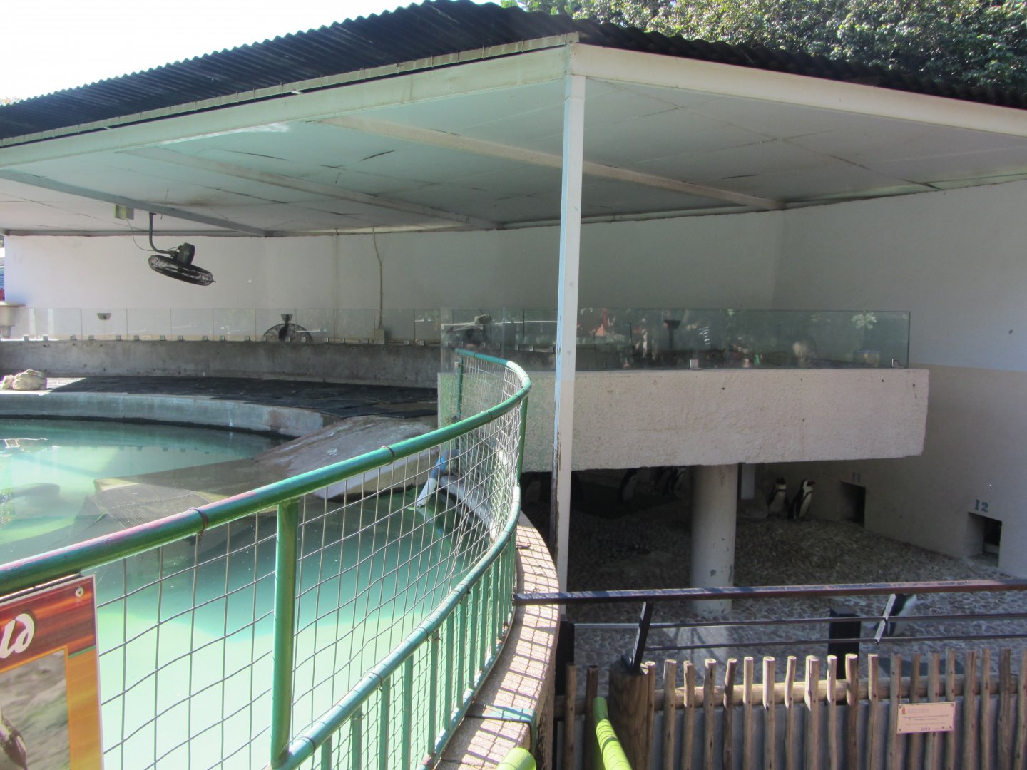 Part of the African Penguin Exhibit