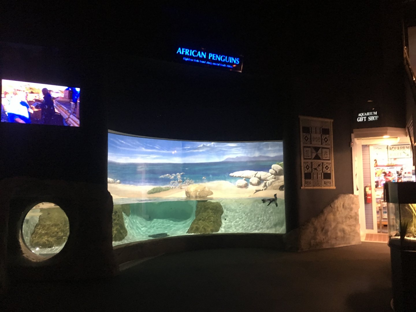 Part of the African penguin exhibit