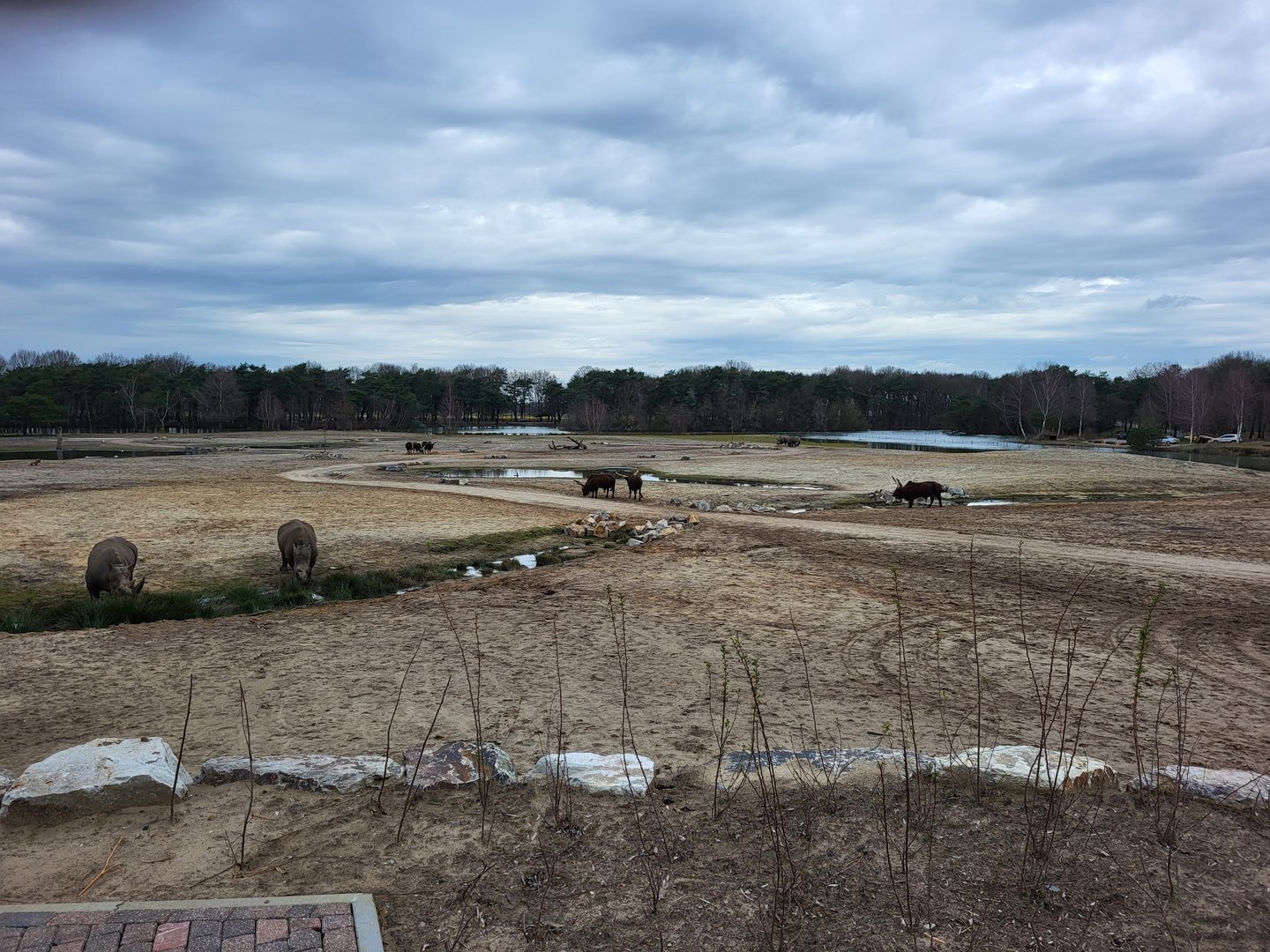 Part of the African Plain