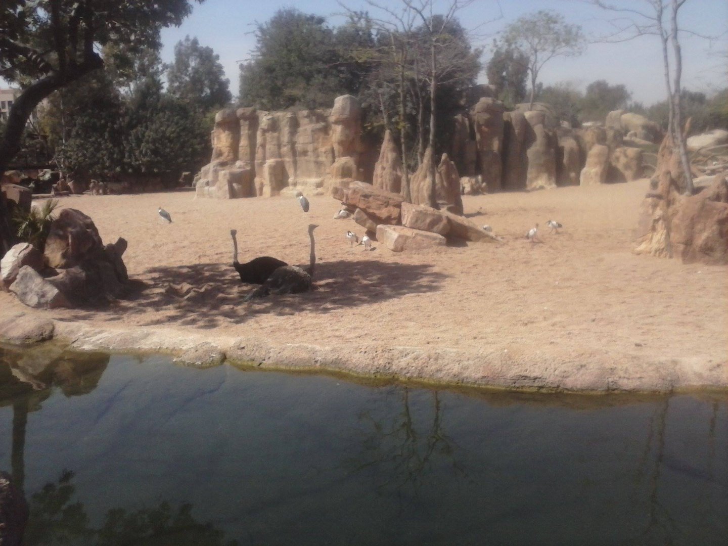 Part of the African savannah